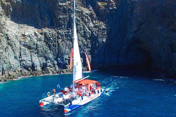 Whale Watching and Listening Eco Catamaran Tour with Food Tasting - Price and value: what you’re paying for (and what you aren’t)