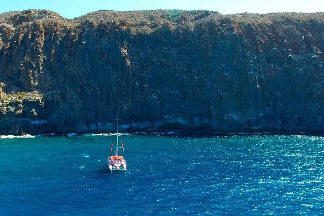 Whale watching and listening Eco-Catamaran Tour with Food Tasting - Price and Value of a $48.37 Catamaran Tour