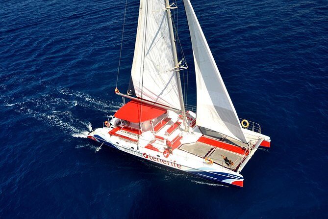 Whale Watching and Listening Eco Catamaran Tour with Food Tasting - Pantalán 8 at Marina Puerto Colón: the start point and what to expect