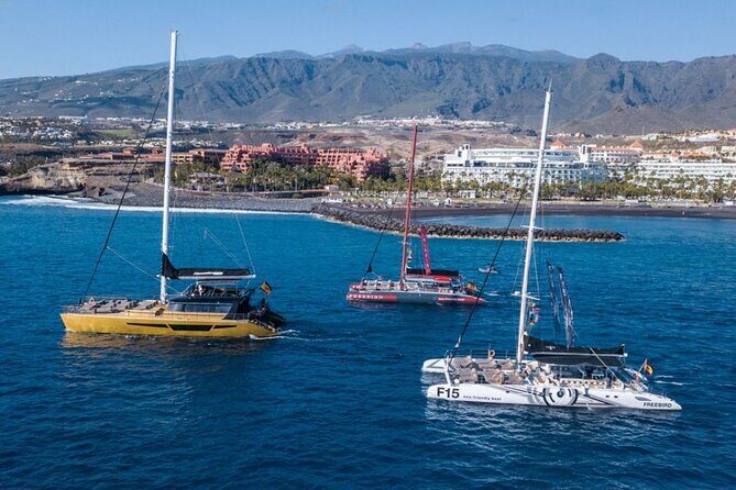Whale Watching Catamaran in Costa Adeje (Including drinks & Sandwich) - Meeting Point and Pickup in the South of Tenerife (and What Can Confuse You)