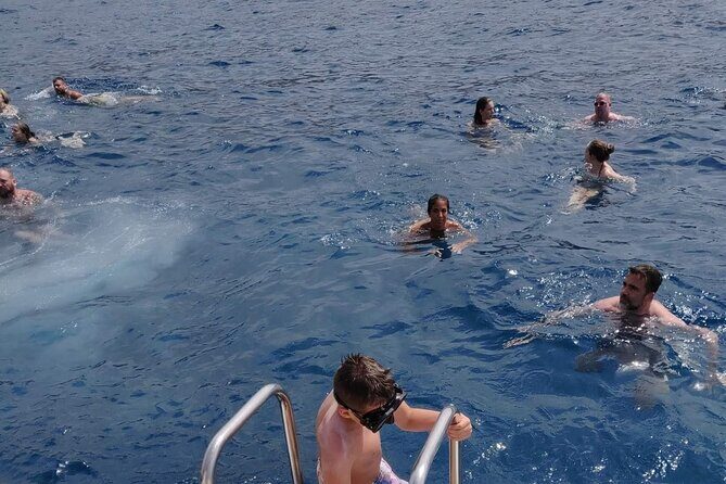 Whale Watching Catamaran in Costa Adeje (Including drinks & Sandwich) - The Guide and the On-Deck Announcements: Helpful, Sometimes Loud, Usually Worth It