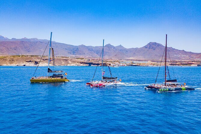 Whale Watching Catamaran in Costa Adeje (Including drinks & Sandwich) - Photos, Photo Vendors, and How to Handle the Extra Sales Pressure