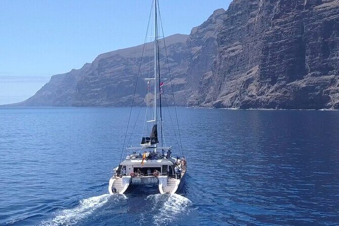 Whale Watching Catamaran to Los Gigantes & Masca (Including drinks & warm lunch) - Key highlights at a glance