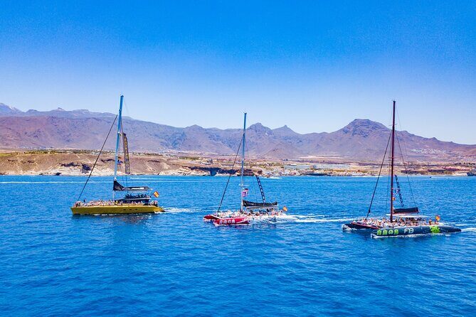 Whale Watching Catamaran to Los Gigantes & Masca (Including drinks & warm lunch) - Drinks and lunch included: great value, but read the fine print