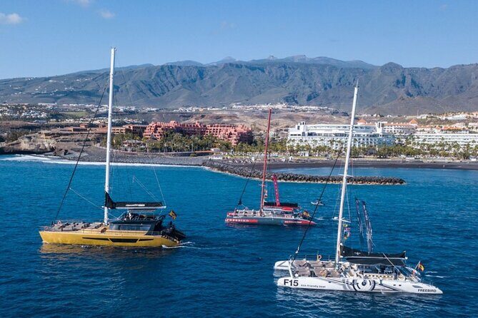 Whale Watching Catamaran to Los Gigantes & Masca (Including drinks & warm lunch) - The wildlife search: whales, dolphins, and what to expect when sightings vary