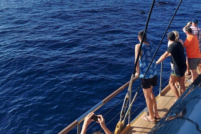 Whale Watching Catamaran to Los Gigantes & Masca (Including drinks & warm lunch) - Seasickness and roughness risk: don’t guess, prep