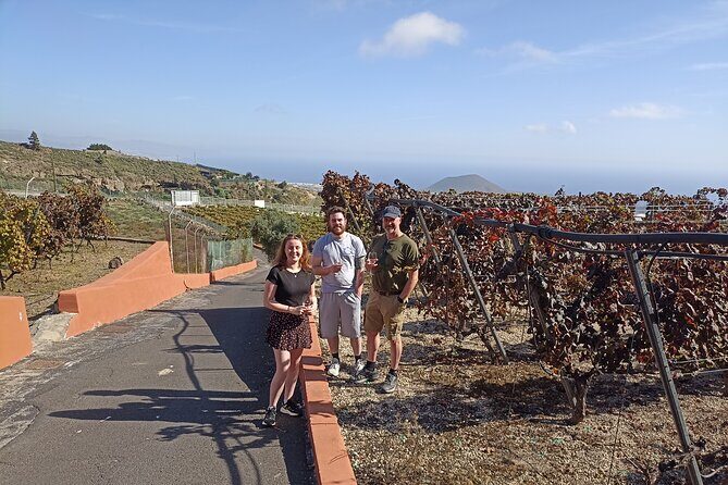 Wine, Canarian Tapas, Culture, VIP Private tour - photos included - Stop 5 (optional): Lunch in a local Canarian restaurant