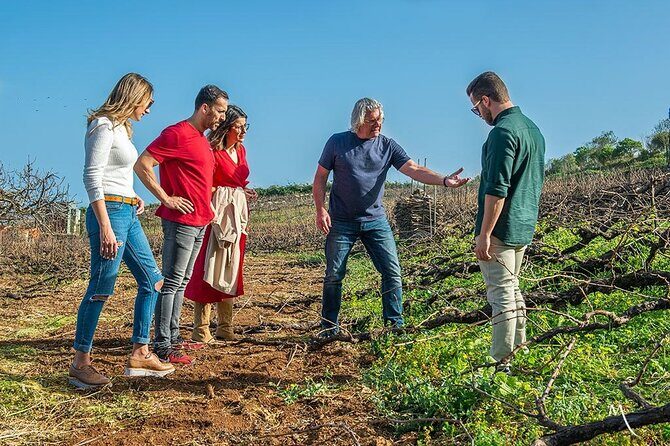 Winery Tour and Tasting in Tenerife with the Sommelier - Tenerife’s sea-view winery tour: why it feels different