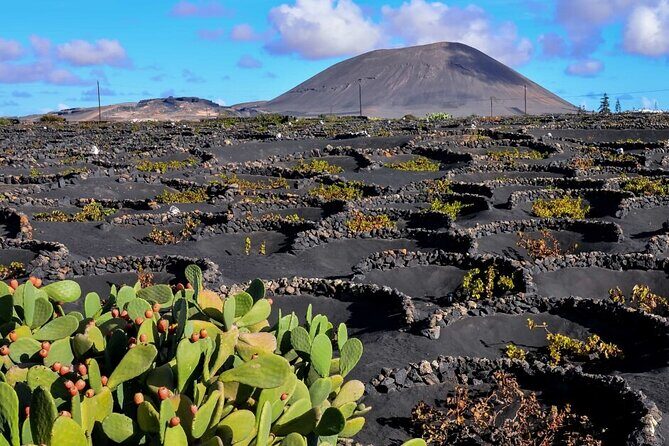 Winery Tour and Tasting in Tenerife with the Sommelier - Where you start in El Sauzal (and what to do with your time)