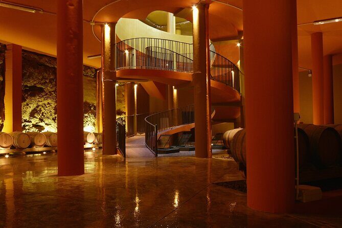 Winery Tour and Tasting in Tenerife with the Sommelier - Grapes in Tenerife you’ll hear about: Listán Negro and Malvasía