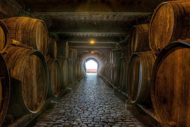 Winery Tour and Tasting in Tenerife with the Sommelier - The tasting room: 4 wines plus Canarian cheese pairings