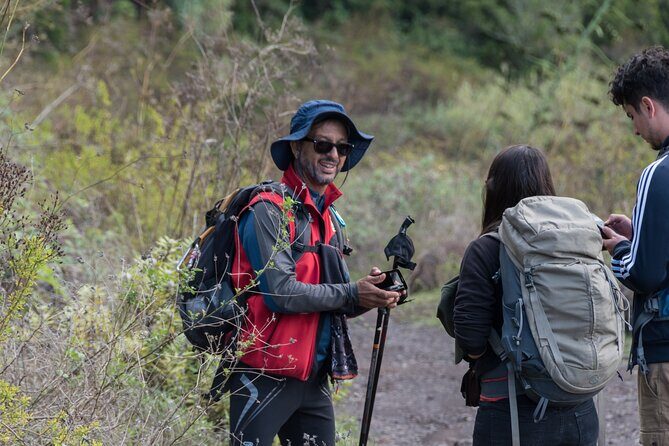 Wonderful hike through the Magic Forest of Tenerife - Stop 1: Natural Park of Teno and the thousand-year forest feel