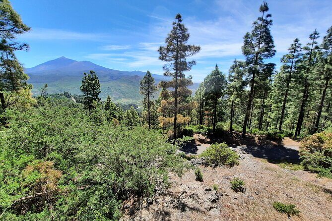 Wonderful hike through the Magic Forest of Tenerife - What’s included in the price (and where the value is)